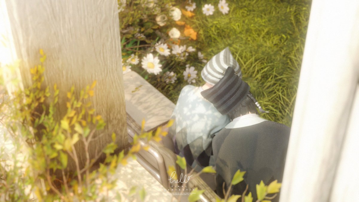 from_haro's tweet photo. 🌿 https://t.co/XYmmFlqFoY