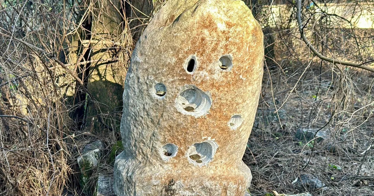 haberxr's tweet image. İki Asırlık Adak Taşı Gizemli Şekilde Kayboldu haberxr.com/guncel/iki-asi… ---Ayrıntılar linkte #AdakTaşı #Kayıp #Gizem #Muğla #Ula