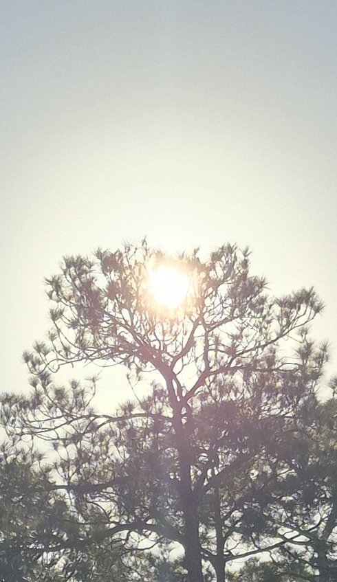 Dragonlady tweet media