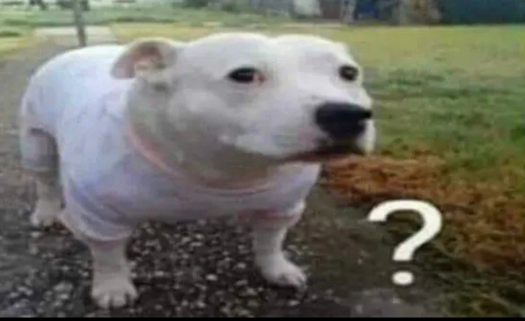 Algn para mañana la eval ?