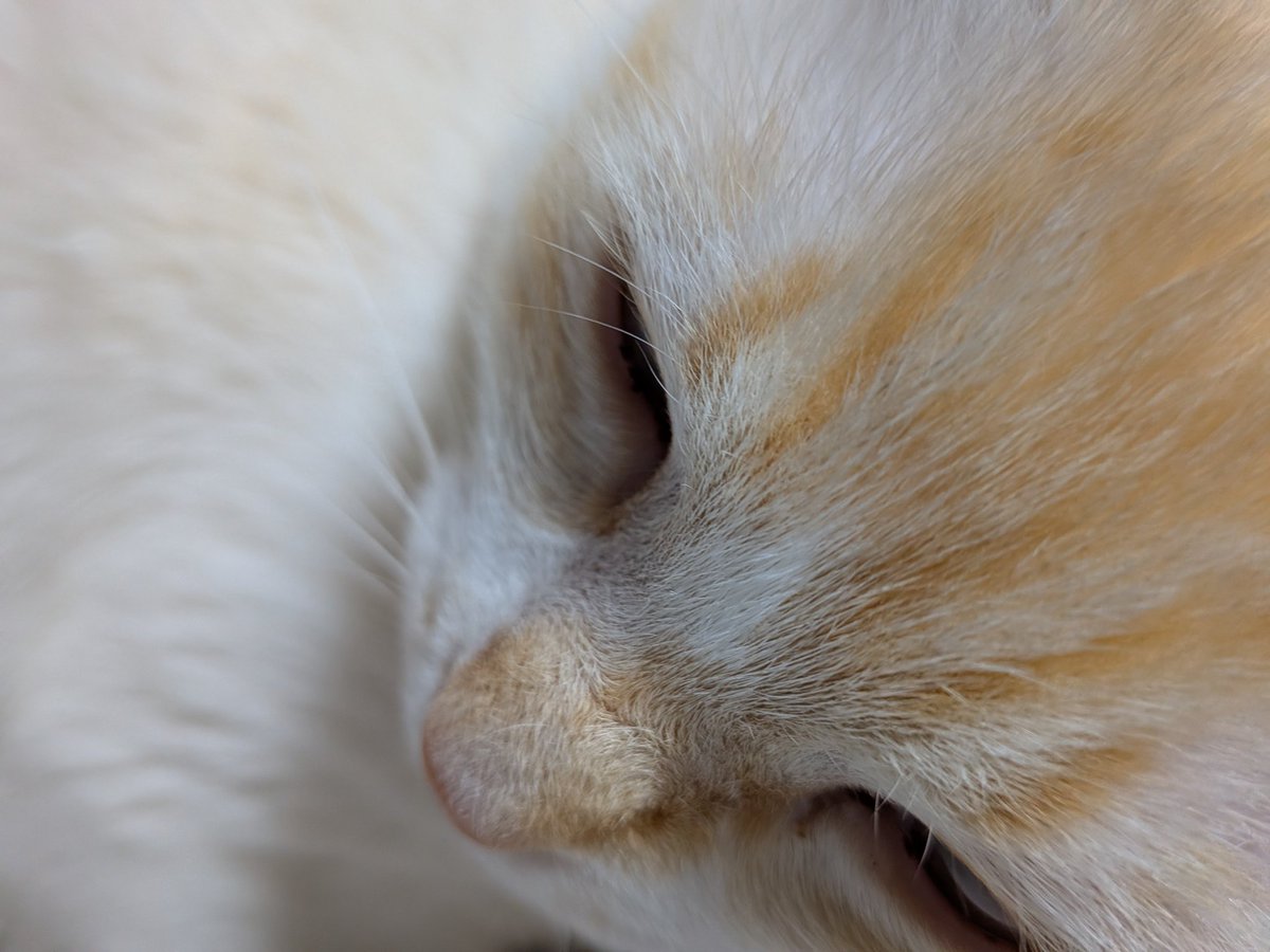 ミッくん tweet media