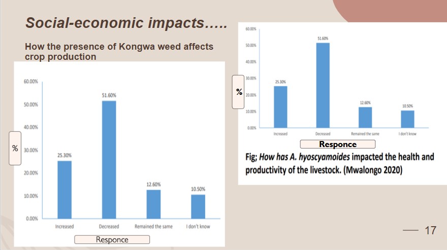 InfoNile tweet media