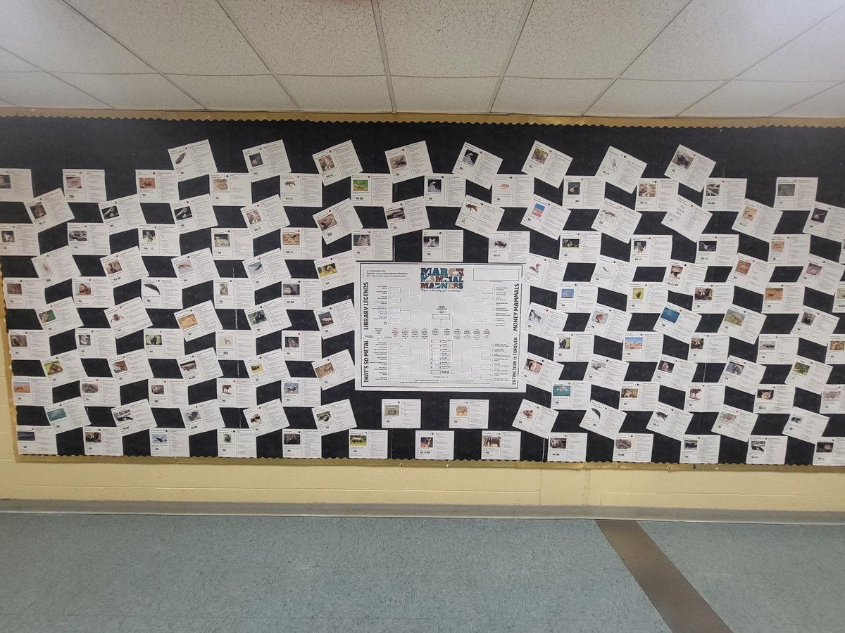 Marshall Middle School tweet media