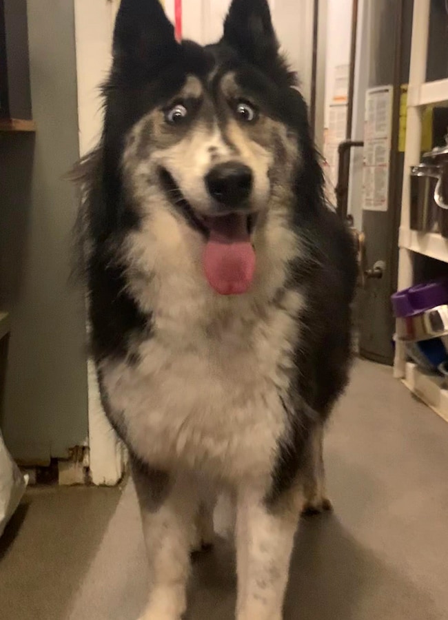 The Thing: OP31 (☥𝐃𝐁) tweet media