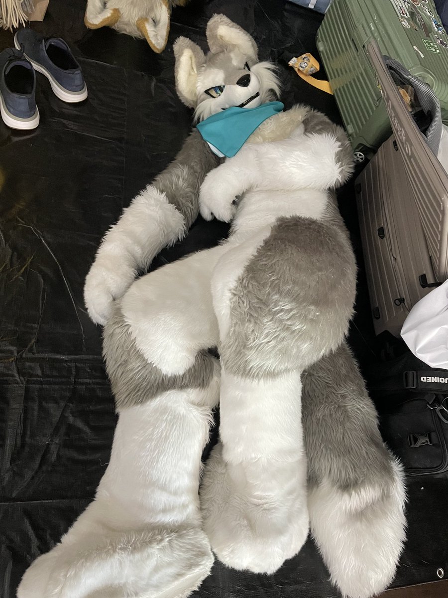 タカル tweet media