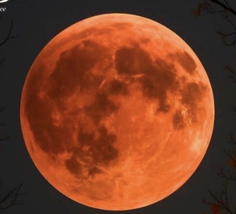 GN, let 's connect me
Can you see her?