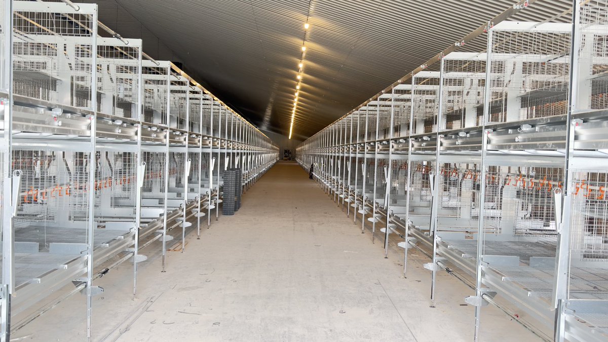 SimplyLpg's tweet photo. Inspecting the progress on yet another poultry shed installation where we are installing the LPG supply that will obviously provide the warmth and reliability required to heat the birds in the sheds. https://t.co/kiB5RZcmOA