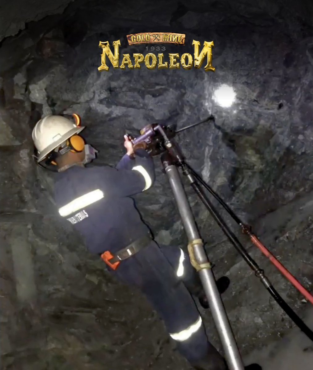 Napoleon Gold Mine tweet media