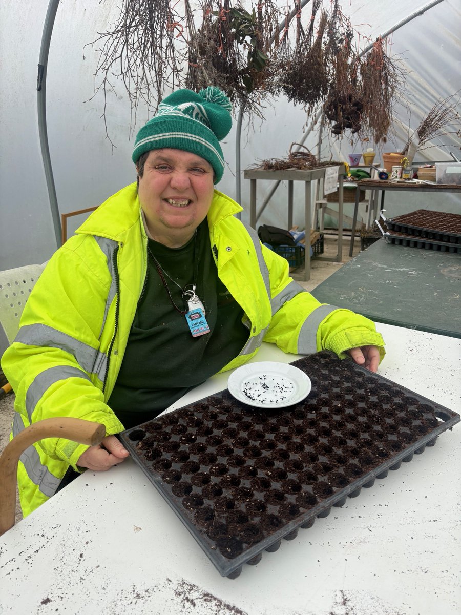 TillyTractor tweet media