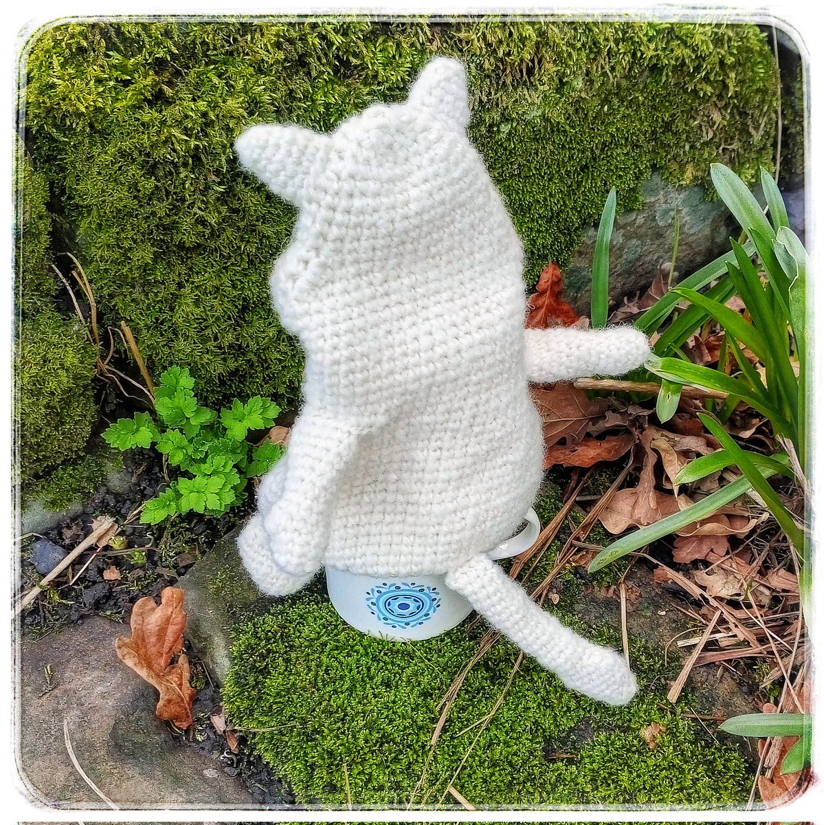 Joy 🍄 tweet media