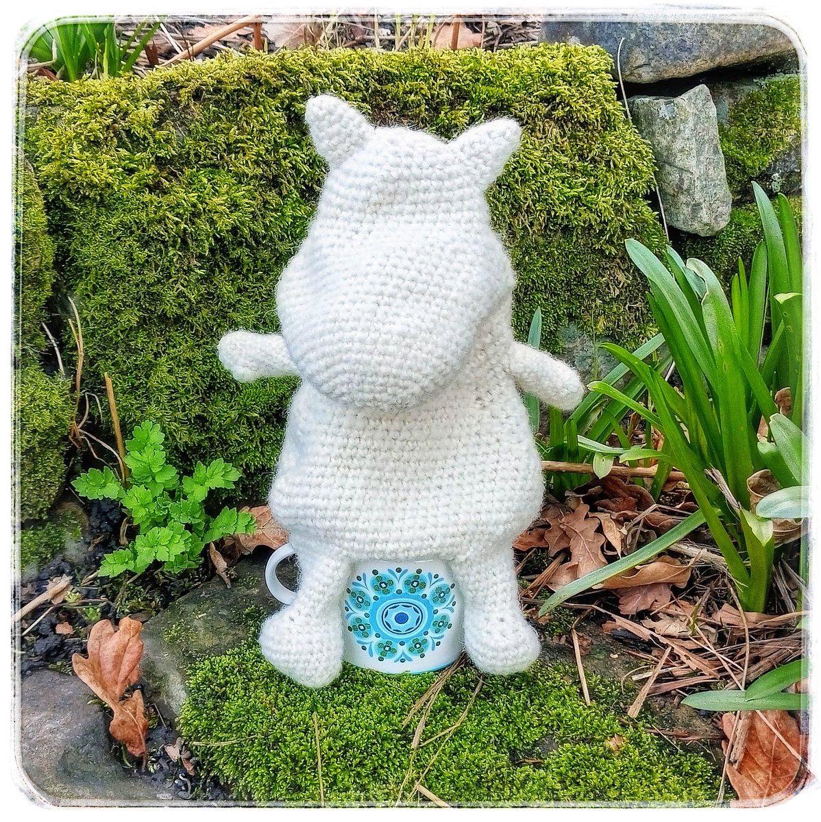 Joy 🍄 tweet media