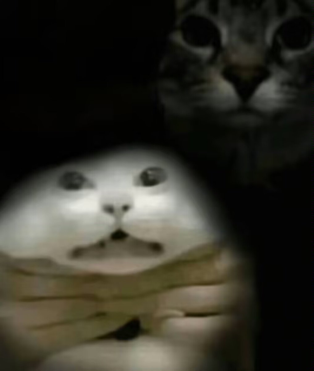 超高校級の波奇 tweet media