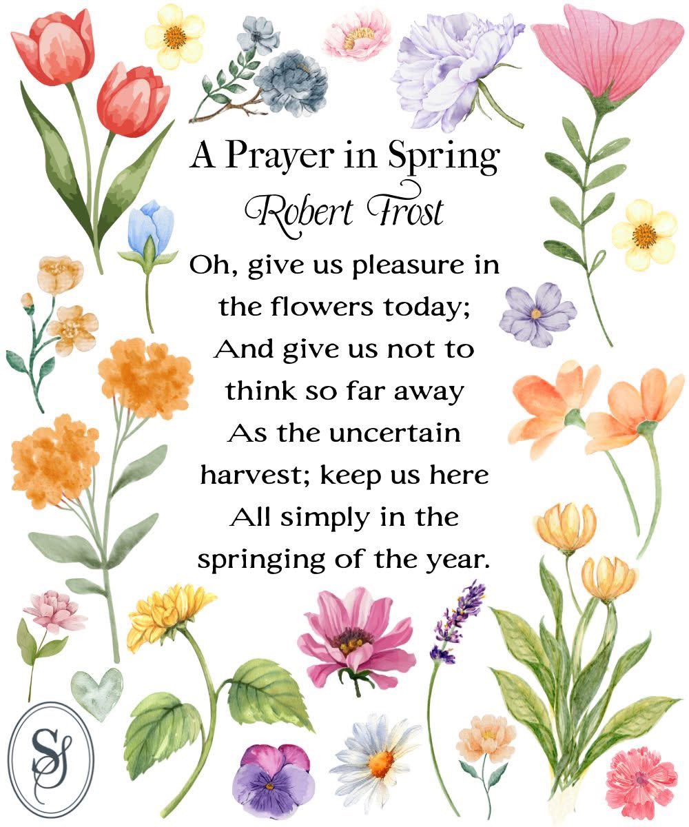 Nina Romano tweet media