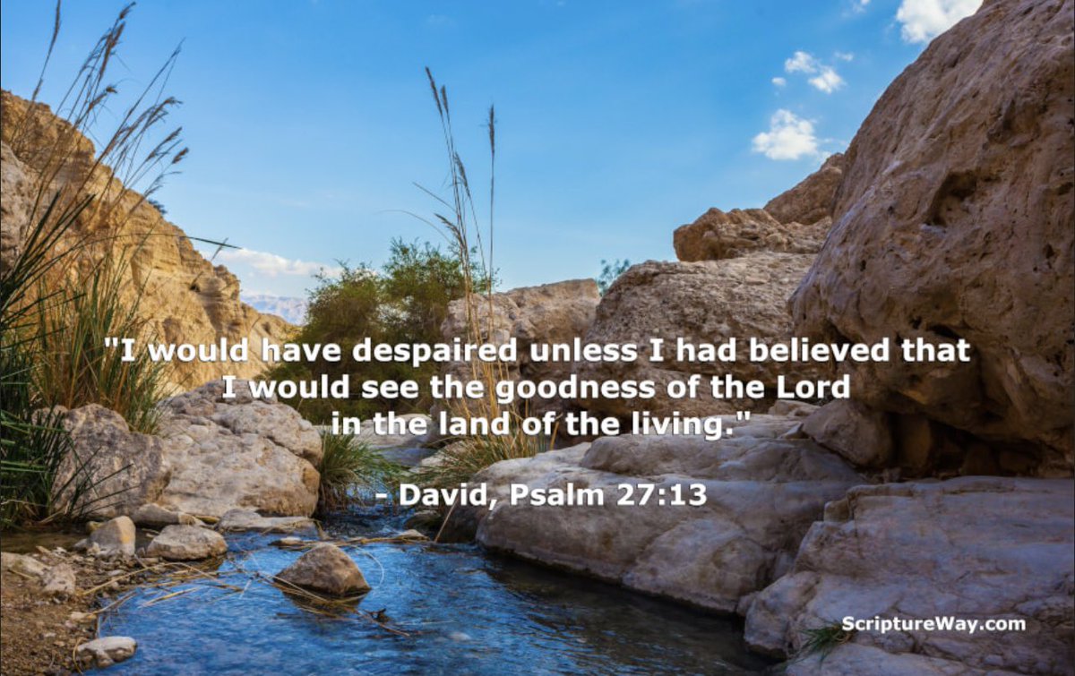 🕊️Grateful Heart🕊️ tweet media