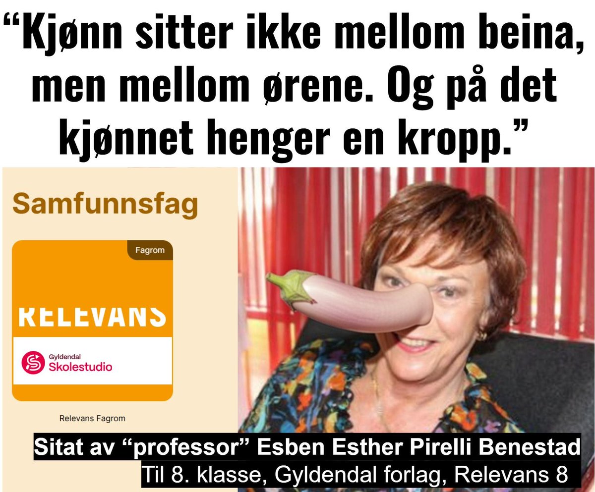 Truls Olufsen-Mehus tweet media