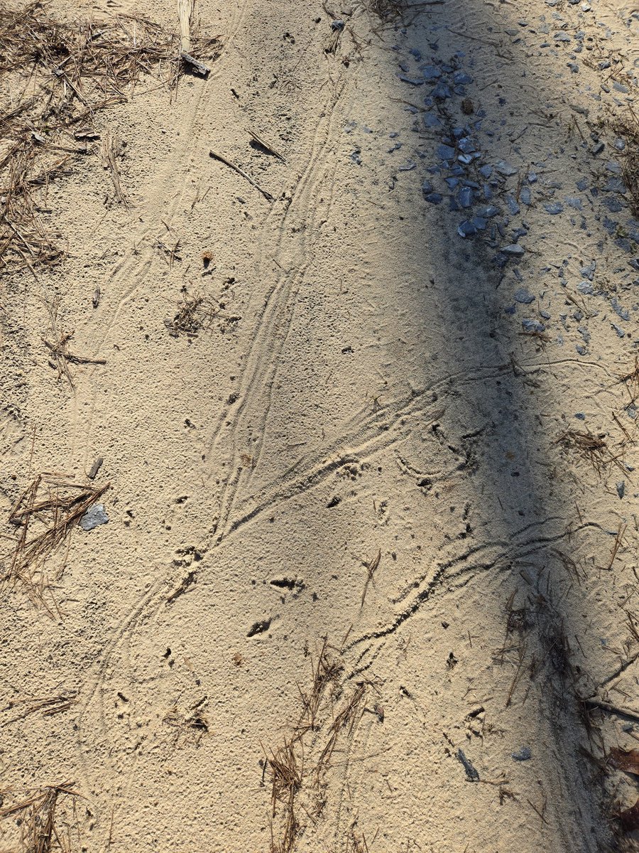 Joey Smith tweet media