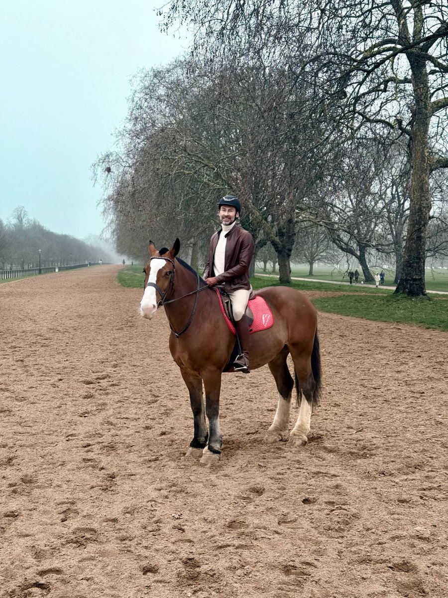 Michael Bronstein tweet media