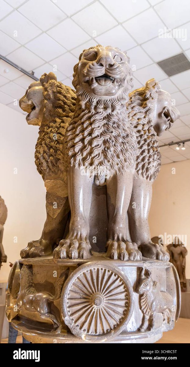 DR. Durgesh Nandini Tiwari tweet media