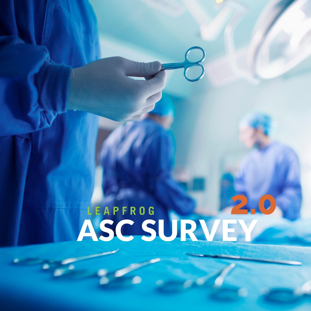 The Leapfrog Group tweet media