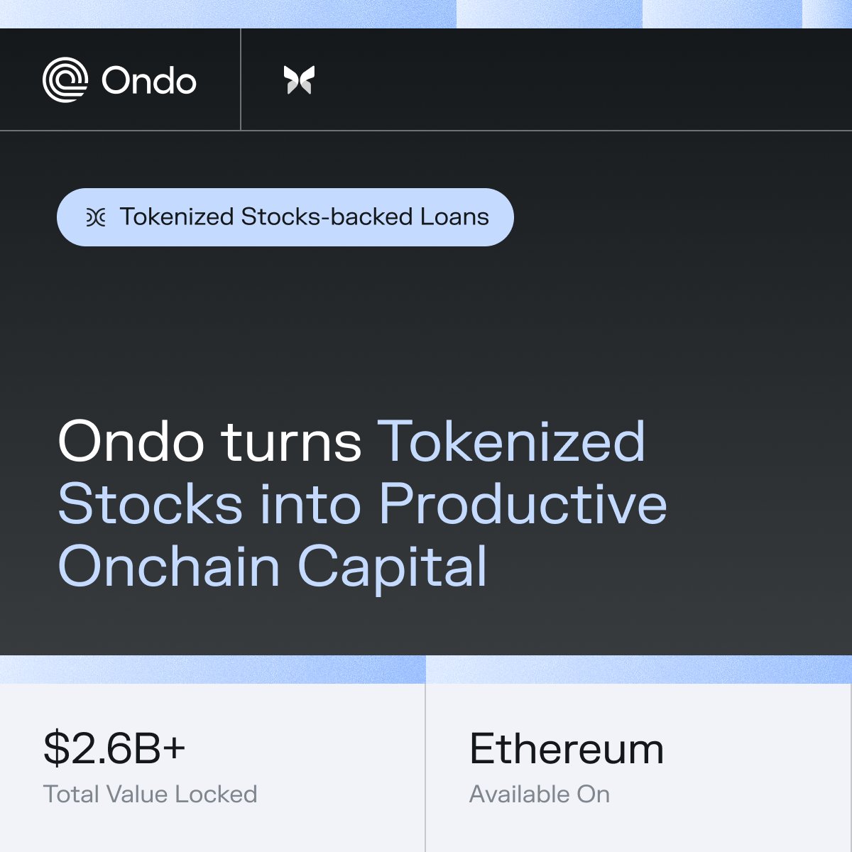 Morpho 🦋 tweet media