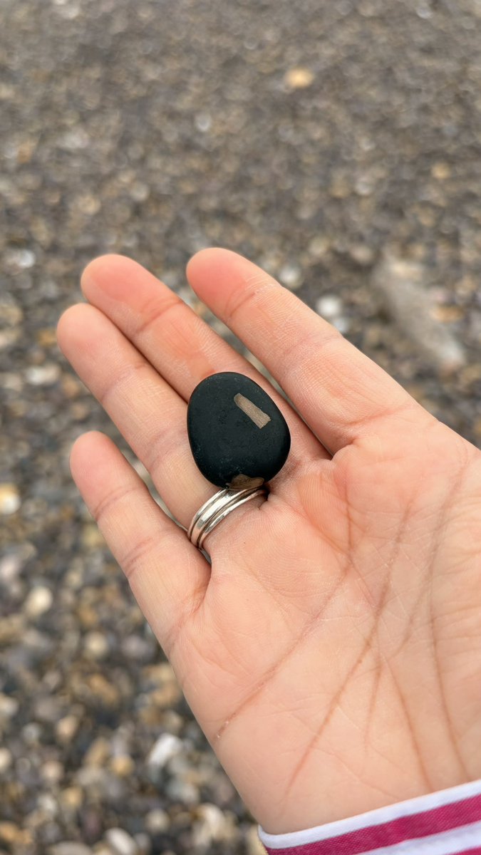 青森の素敵石コレクション