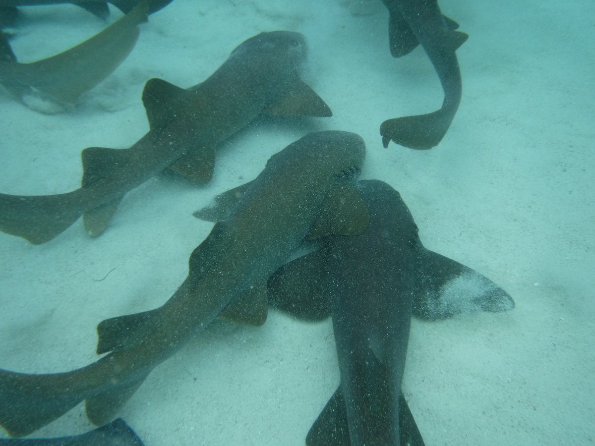 Sunhats and Chardonnay tweet media