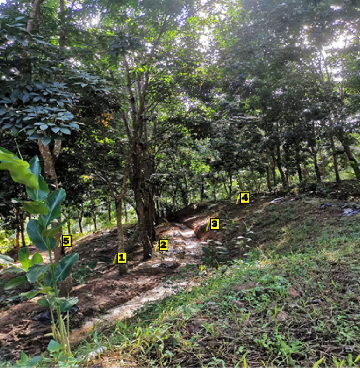 Ecological Agriculture Research tweet media