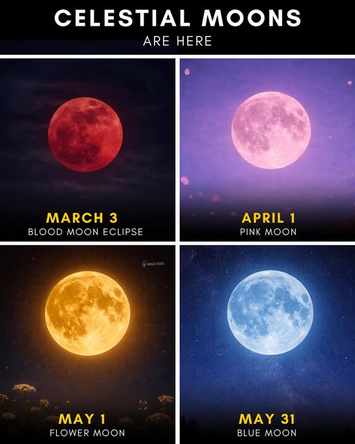 All day Astronomy tweet media