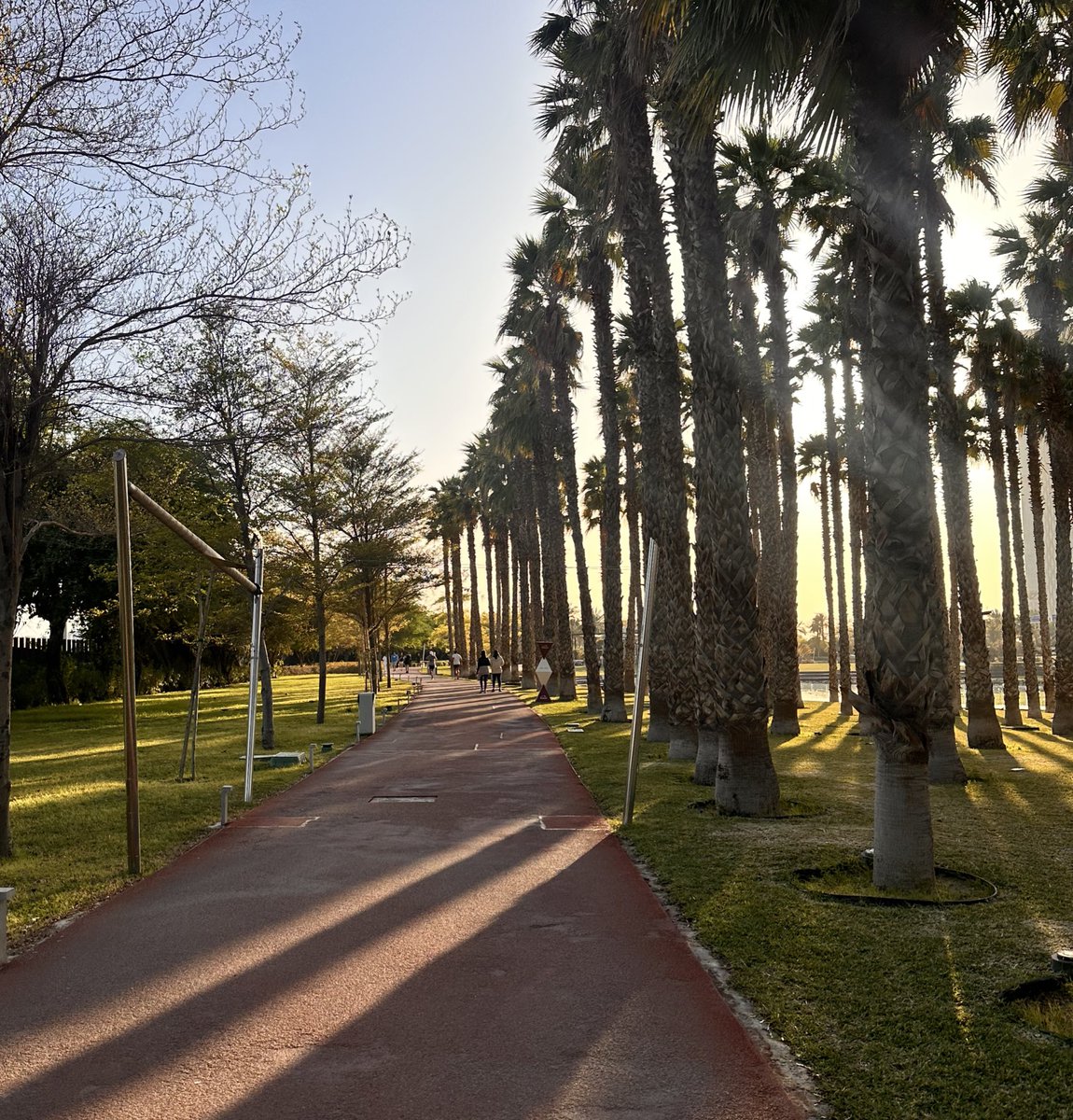 محمد عبدالمحسن المدلج tweet media