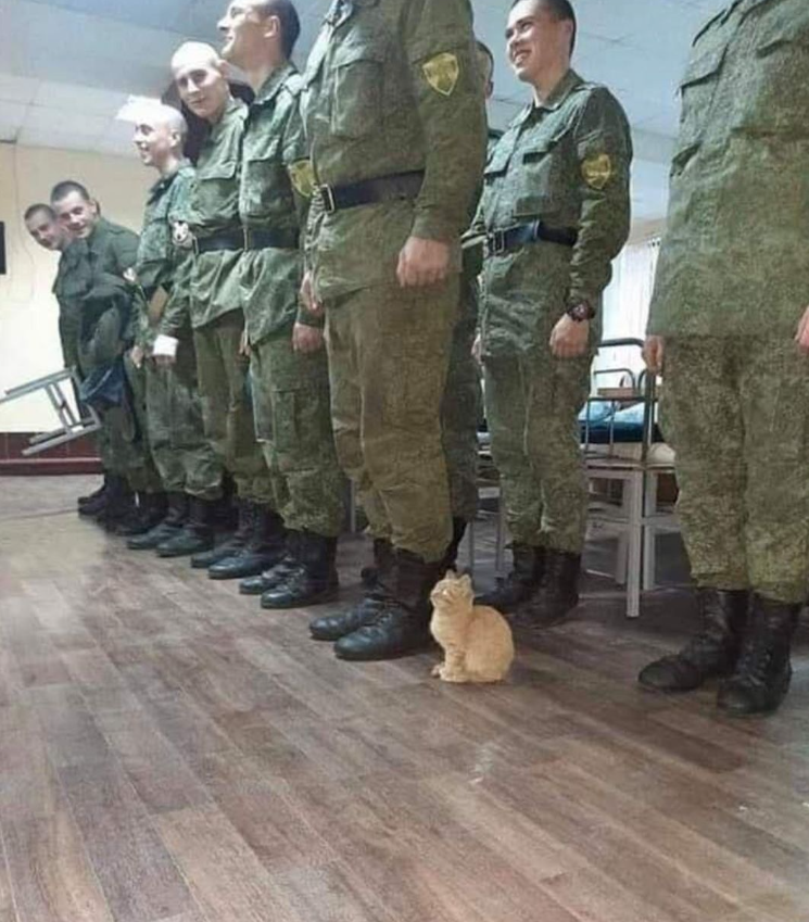 Images That Make You Feel Pain tweet media