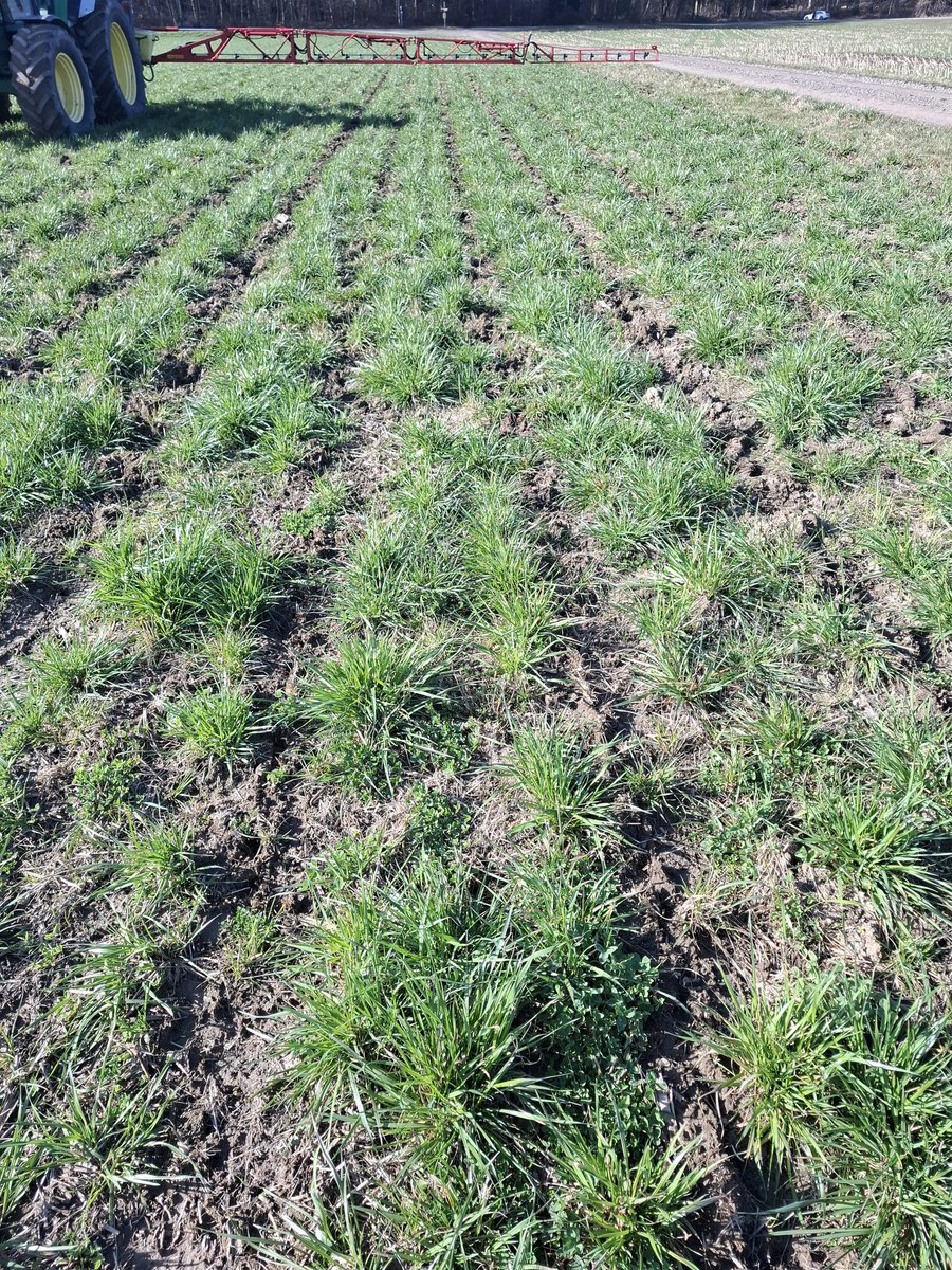 SebastianVogler🗽 tweet media