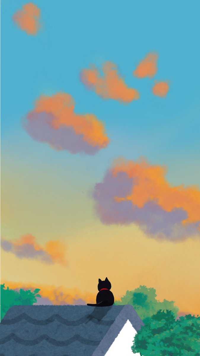 Cornell Feline Health Center tweet media