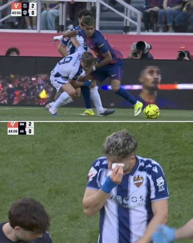 Vamosmilevante tweet media