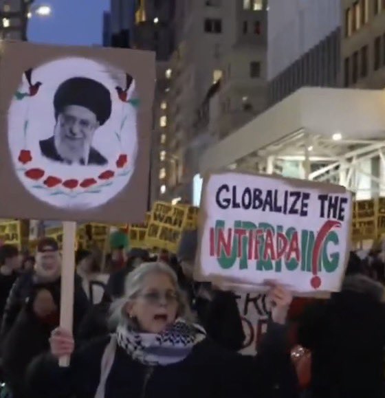 If you still don’t understand what people mean when they say “toxic empathy,” maybe this picture can help. 

Here we have a liberal white woman marching down the streets of NYC, carrying a sign mourning the recently slain dictator Ali Khamenei, a man who supported marriage to