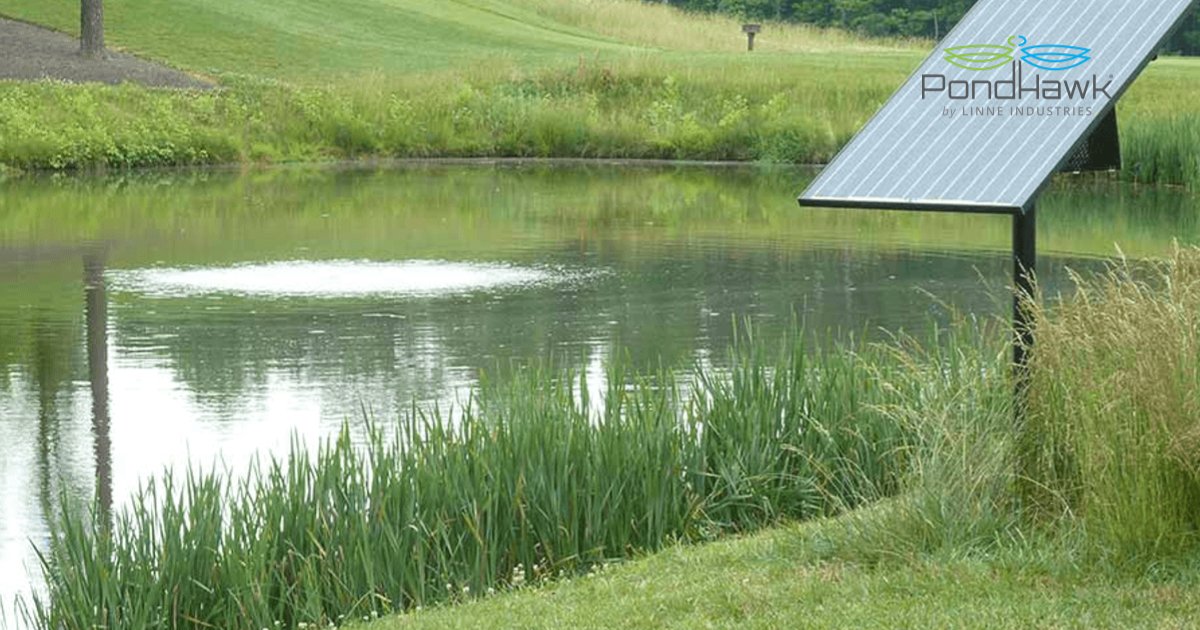 PondHawk by LINNE Industries tweet media