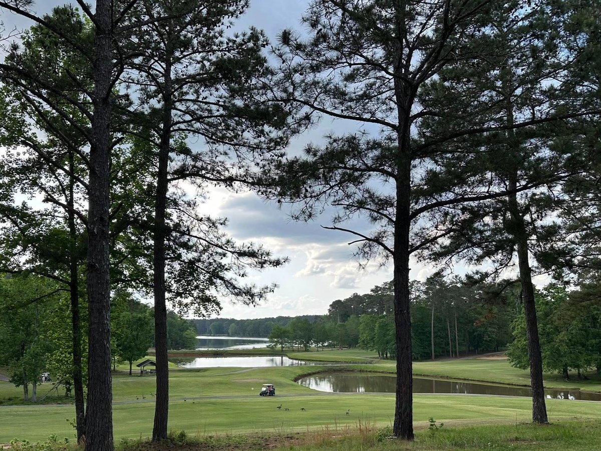 Old 96 District tweet media