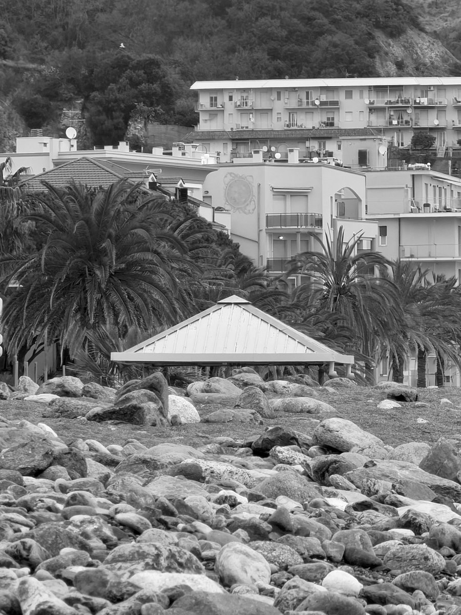 Alonein43672278's tweet image. #photography #biackandwhite #stones #beach #palms #houses