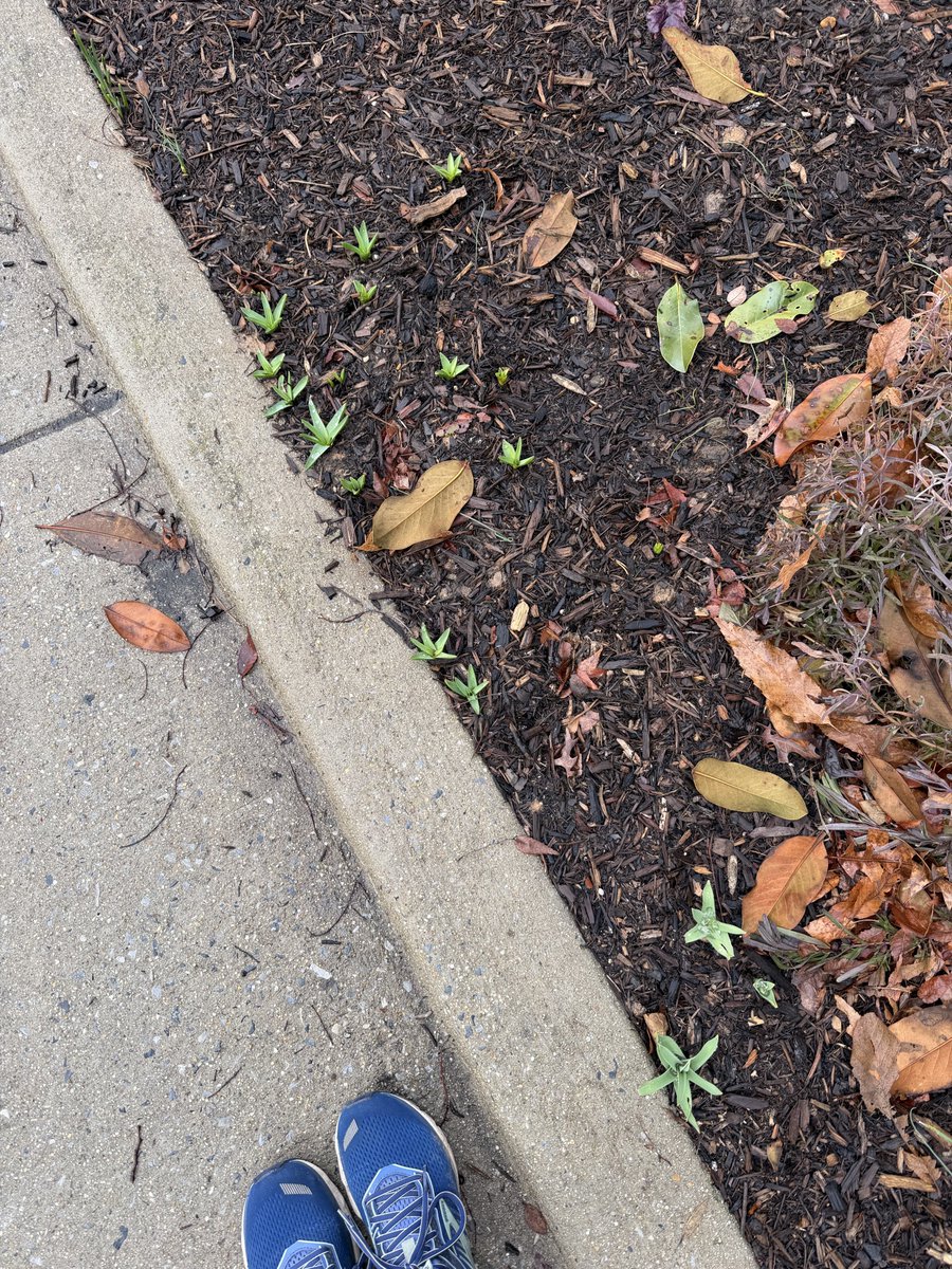 Harmeet K. Dhillon tweet media