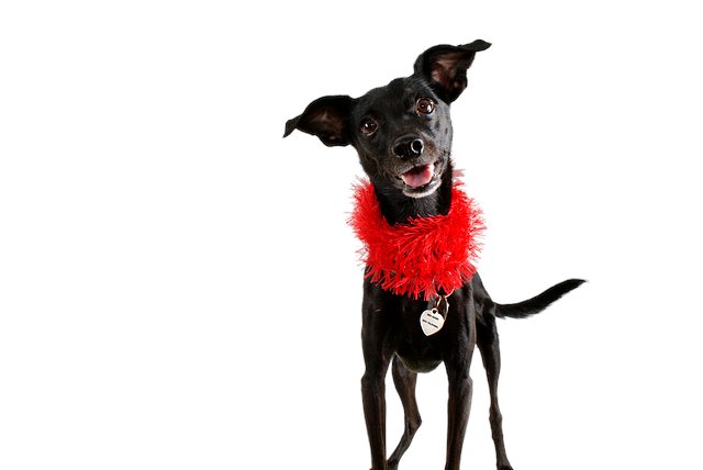 Rod Jordan tweet media