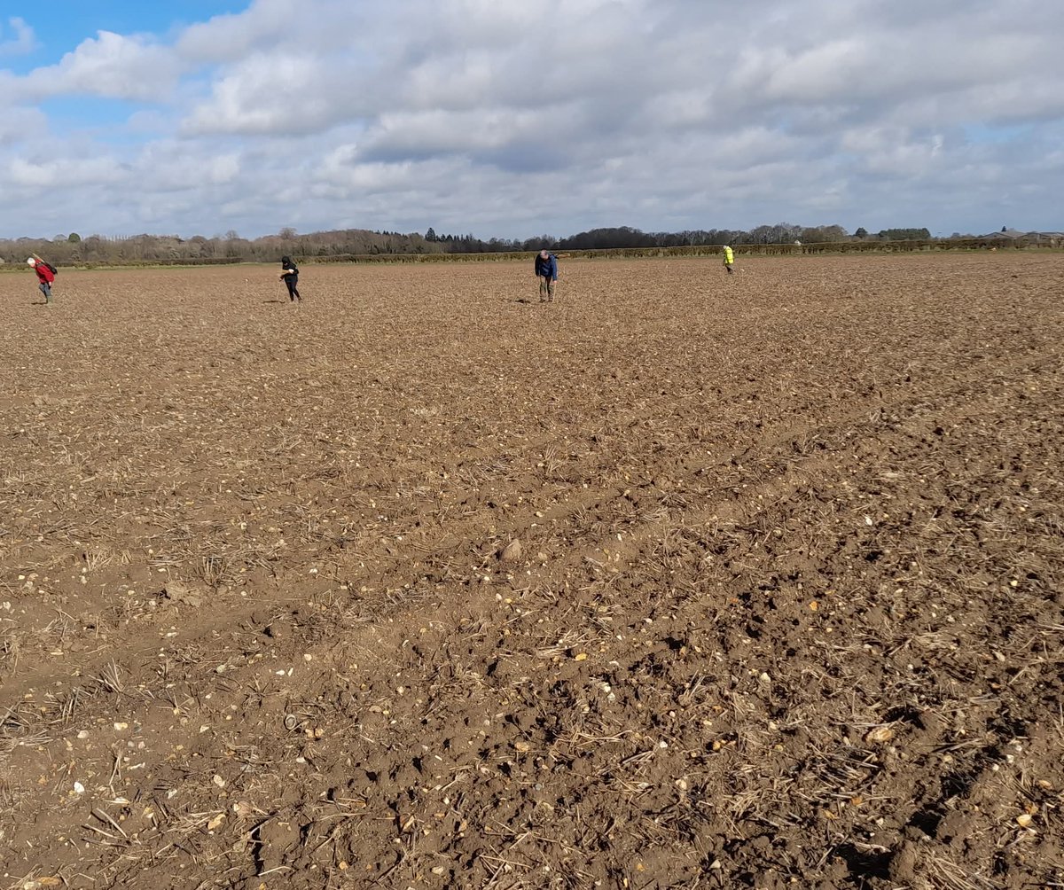 Camb_Arch_F_G's tweet photo. @Camb_Arch_F_G  are currently walking some very large fields near Bottisham, north of Cambridge. After the excitement of a spread of Roman finds seen over the past few outings, it's back to the mundane widespread scatter of heat modified flint! (Images: https://t.co/tskiFVANIN) https://t.co/c2eq83RFwK