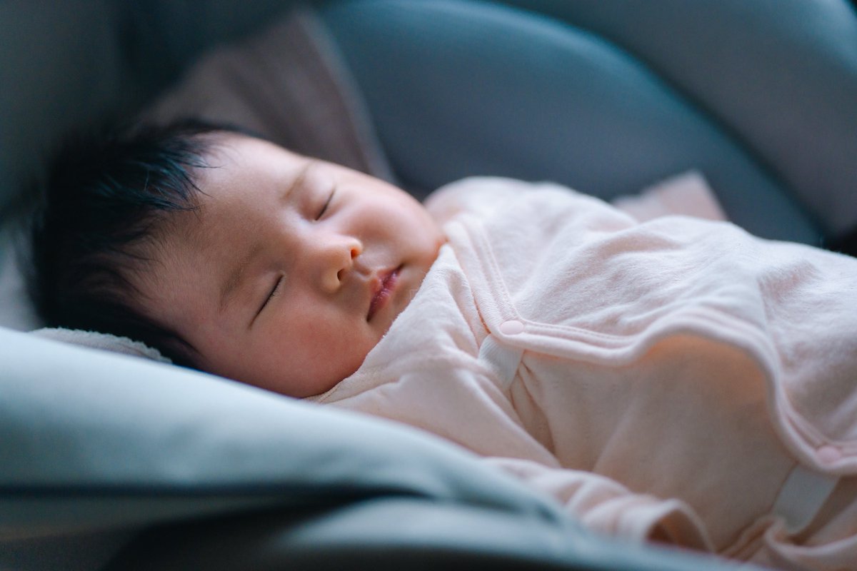 RYOTA │ ライブ映像・MV制作 tweet media