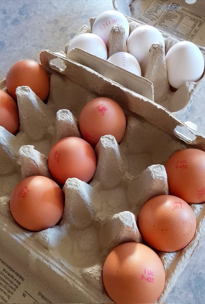 Edmahoo 🎬🎥📸🎹🥋🥊 tweet media