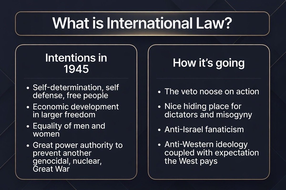 SarahEHearn's tweet photo. To the alarmist adherents of international law, I say: yes, the UN needs law not ideology, but let’s have a more honest conversation about the hopes and the severe limitations of the UN 🇺🇳 https://t.co/oX67o1tBlS