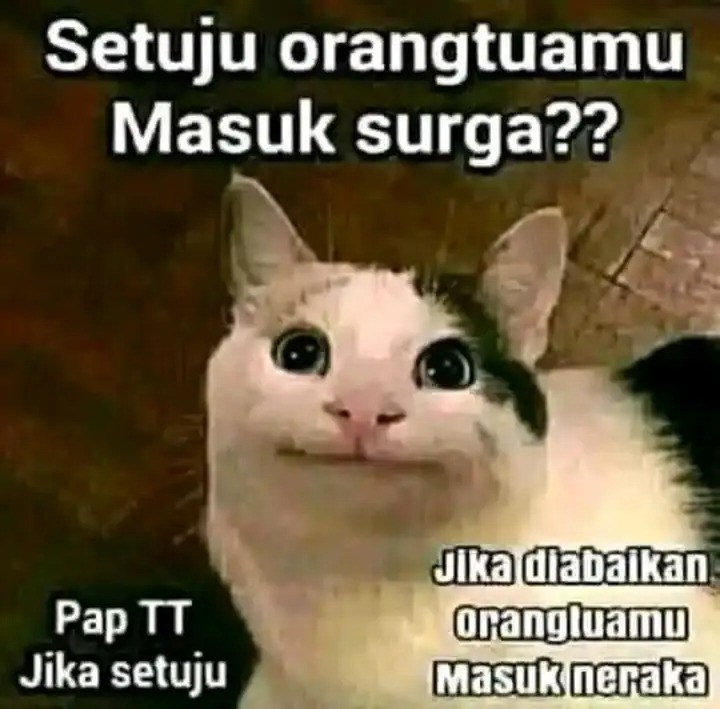 Memelord tweet media