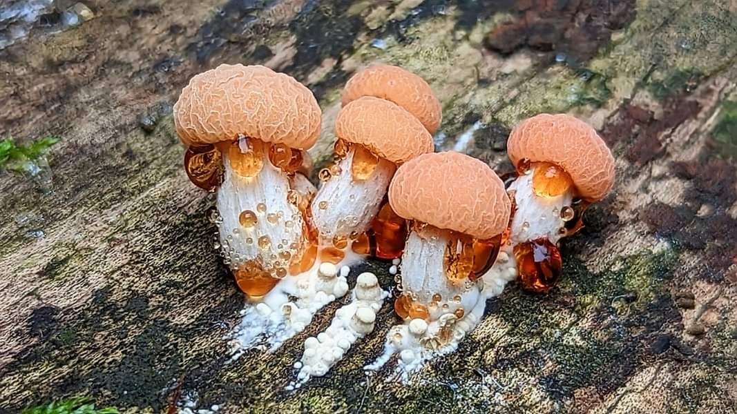 john lindsell tweet media