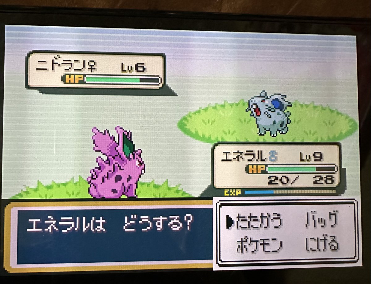 両方出るんだっけ！？
出にくいだけで揃いはするのか..
まだ全然覚えてるつもりだったけどだいぶ忘れてるんだなあ