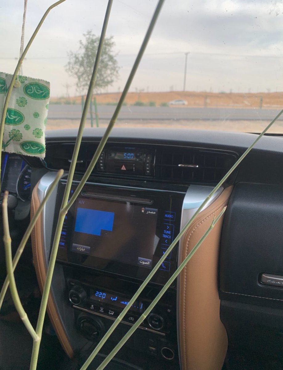 #من يتعرف على هذا النبات المحبب للإنسان والصيد قبل أن يتغير لونه ويتحول من حال إلى حال ويزهر ويدفع بالإثمار ثم يتدانى ويقترب من الإنكسار وهذا تقلب الأحوال دفع الله بها عن المؤمنين.