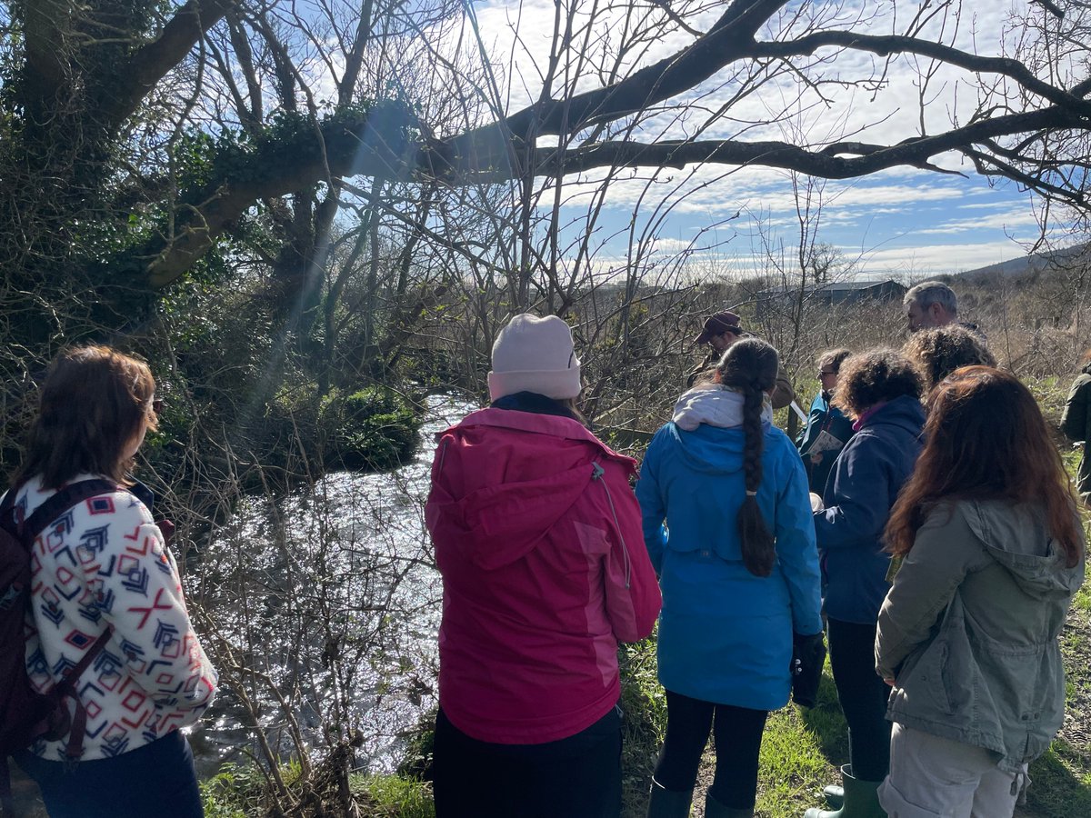 Oide Creativity tweet media