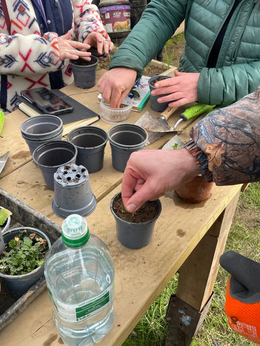 Oide Creativity tweet media