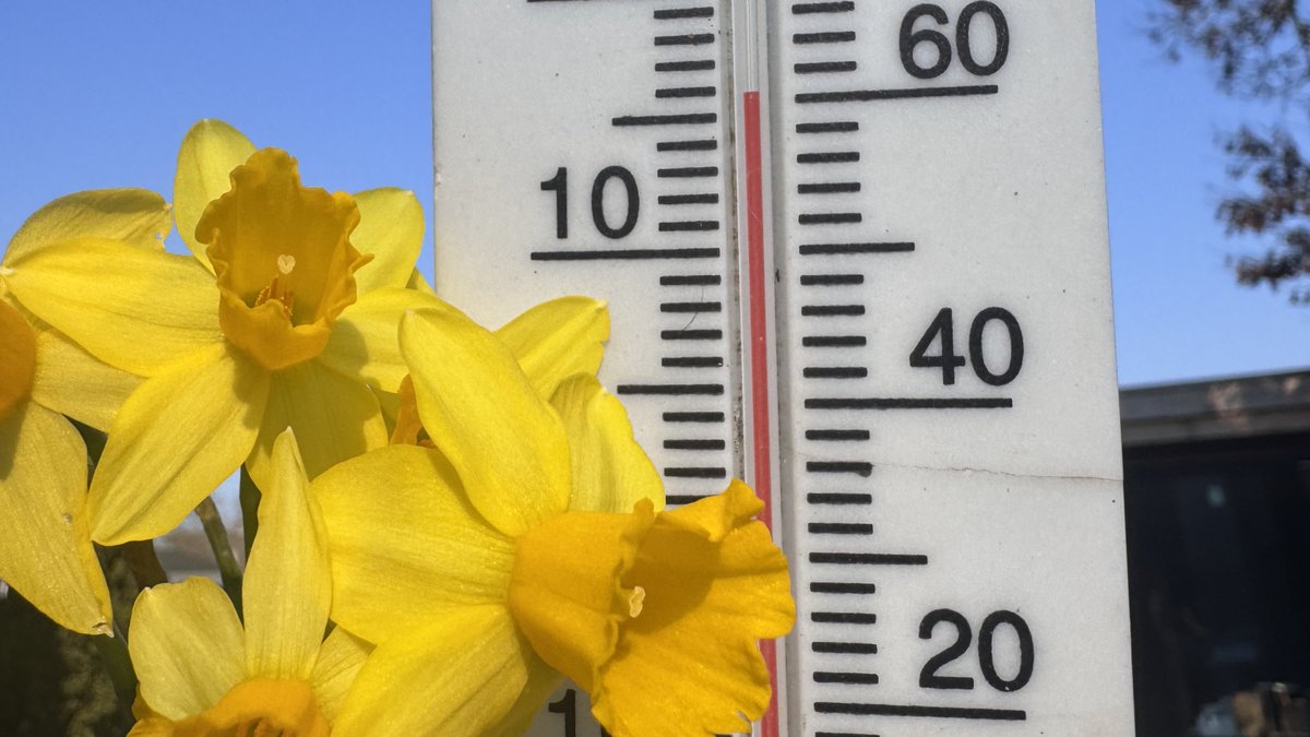 JolandaBakkker's tweet photo. @weerverteller @BuienRadarNL @weermanrobert @marjondehond @weerplaza @janvissersweer @MeteoVoorne @EdAldus #datumrecord #3 https://t.co/mBef2Lnluo